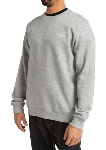 Arch Cr Erkek Gri Sweatshirt