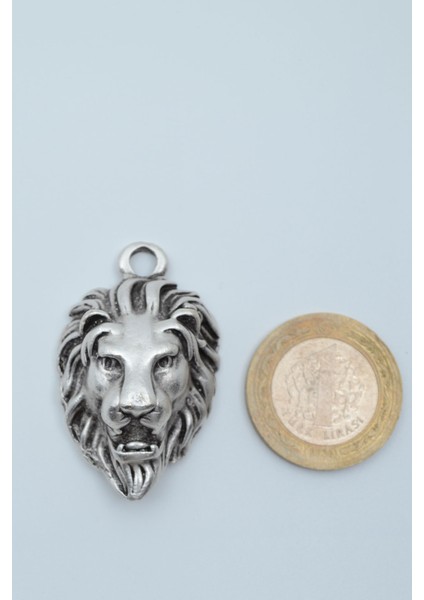 Aslan Gümüş Kaplama Deri İp Kolye fırsatları