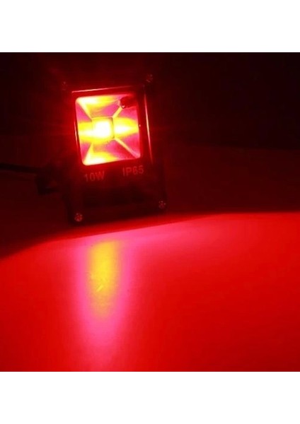 Indus LED Projektör 100W Kırmızı (Red)