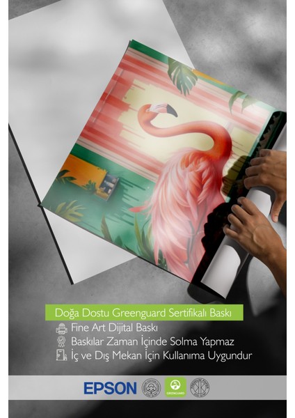 Siyah Çerçeveli Tablo, Flamingo ve Havuz – Tropikal Illüstrasyon, Banyo Dekoru Poster No: 109904