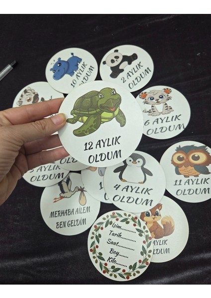 Ahşap Anı Kartları , Eğitici Oyuncak tasarımlı fırsatları