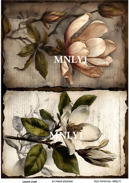 Manolya Serisi Mnly1 Manolya, Çiçek Desenli 30*42 cm Pirinç Dekopaj