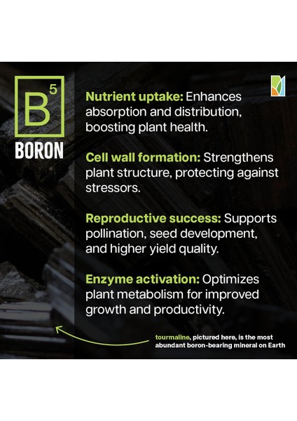Boron Citrate Aspartate Bor Sitrat Aspartat Glisinat Kompleksi Riboflavin Vitamin B2 indirimleri