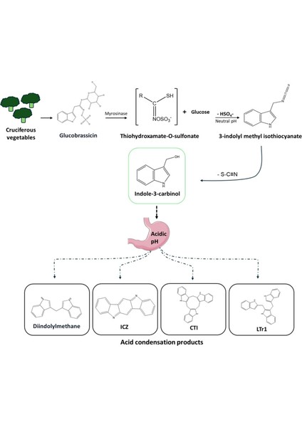 Indole-3-Carbinol 200 mg ,(I3C) Flax Seed Lignan Extract (Linum Usitatissimum) Seed Coat Indol-3-Karbinol fırsatları