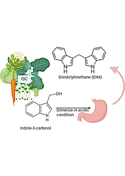 Indole-3-Carbinol 200 mg ,(I3C) Flax Seed Lignan Extract (Linum Usitatissimum) Seed Coat Indol-3-Karbinol
