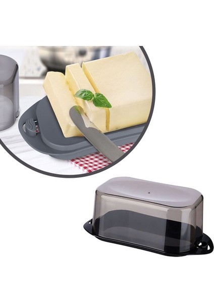 Kilitli Plastik Kapaklı Kahvaltılık Tereyağlık Peynirlik Erzak Saklama Kabı AP-9428