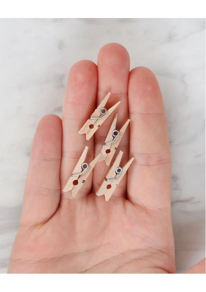 Mini Sunum Mandalı 10'lu