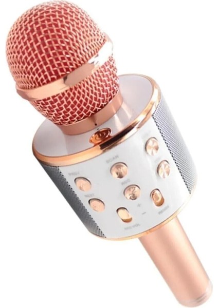 Karaoke Mikrofon