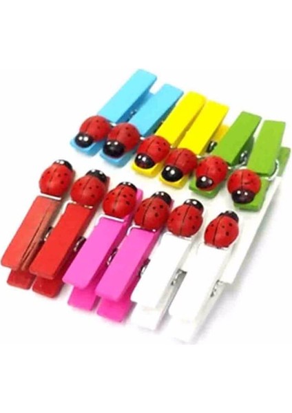 12'li Uğur Böcekli Mini Sunum Mandal