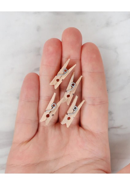 Mini Sunum Mandalı 10'lu