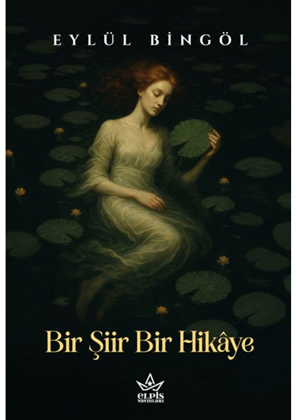 Bir Şiir Bir Hikâye