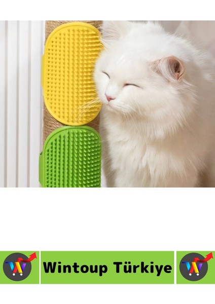 Ergonomik Evcil Hayvan Yumuşak Esnek Zararsz Masaj Pet Kedi Köpek Silikon Tüy Toplama Yıkama Fırçası modelleri