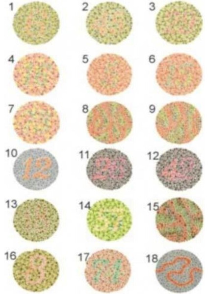 Renk Körlüğü Test Skalası fiyatları