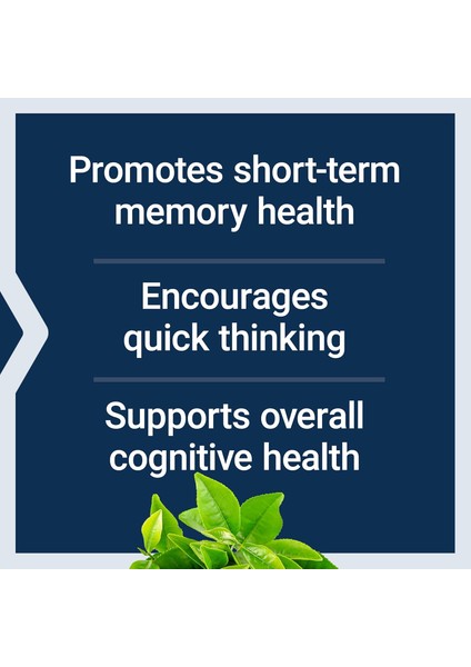 Neuro-Mag Magnesium L-Threonate Magnezyum L-Treonat 2000 Mg Magtein Memory Function Brain Health fırsatları