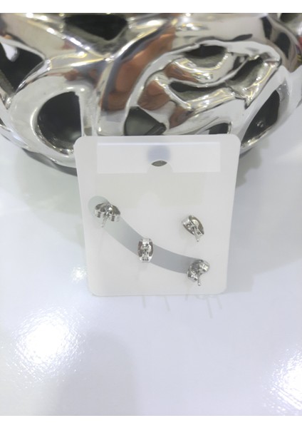 Çelik Küpe 2'li Taşlı Kalp Tek Taşlı Model Gümüş Silver fiyatları