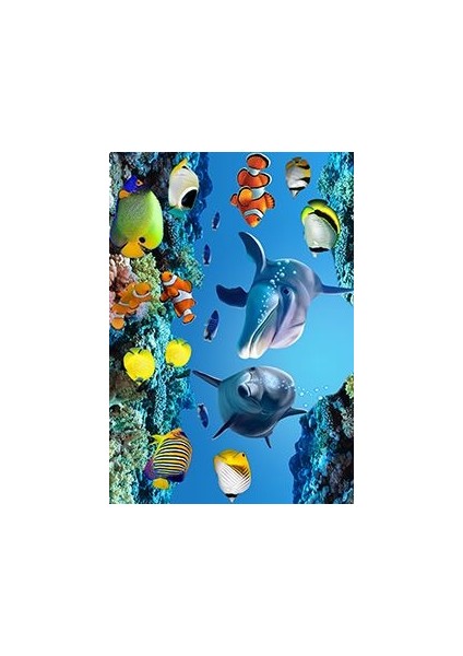 Leana Çocuk Mavi Polyester Dikdörtgen Modern Desenli Pamuk Makinada Yıkanabilir Hav Toz Vermez Leke Tutmayan Kaymaz Taban Dijital Makine Baskı Salon Yolluk Mutfak Halı