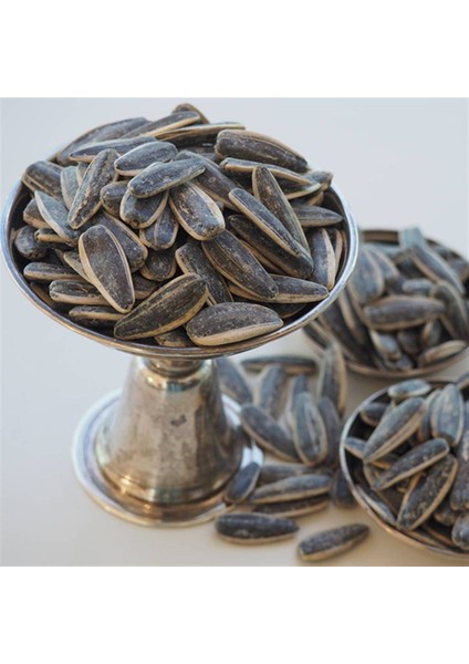 Kavrulmuş Siyah Ayçekirdeği (Dakota Çekirdek) (Tuzsuz) modelleri