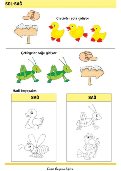Zıt Kavramlar Eğitim Kitabı (Zıtlıklar) indirimleri