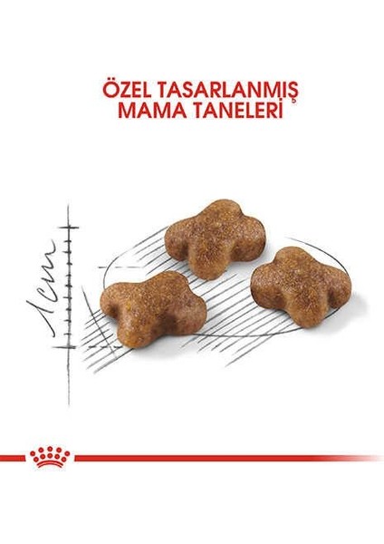 Royal Canin Kitten Yavru Kedi Maması 4 kg fiyatları