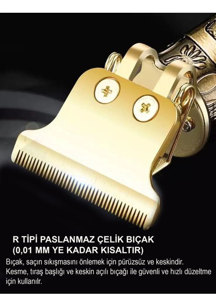 Şarjlı Profesyonel Saç Sakal Ense Çizim Tıraş Makinesi Vücut Kılı T Bıçaklı Epilasyon Öncesi Dragon fiyatları