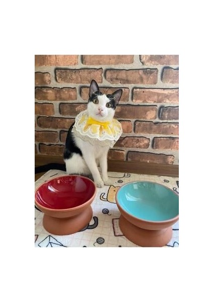 Çömlek 2 Adet Mama Su Kabı El Yapımı 15 cm fiyatları