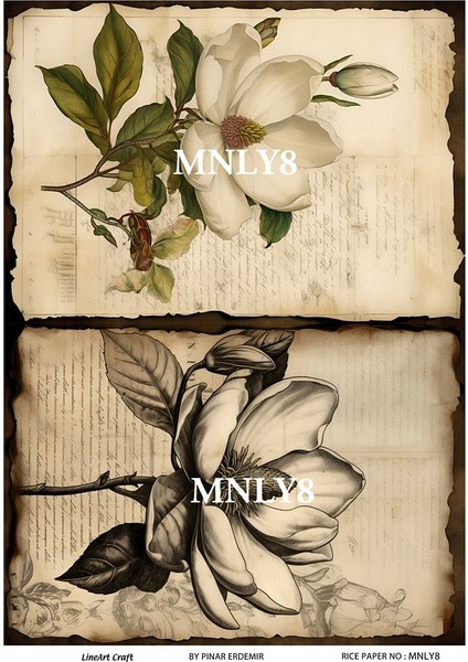 Manolya Serisi Mnly8 Manolya, Çiçek Desenli 30*42 cm Pirinç Dekopaj