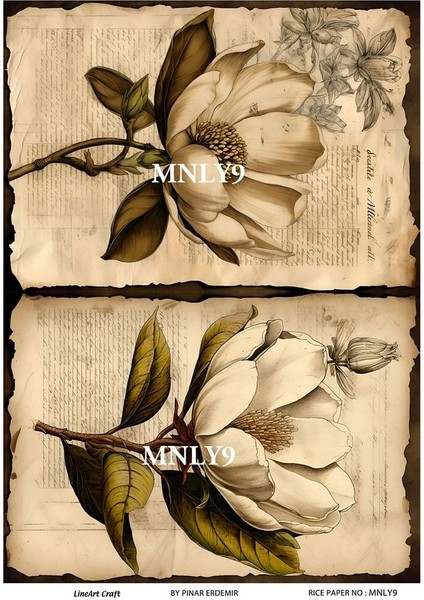 Manolya Serisi Mnly9 Pirinç Dekopaj 30*42 cm