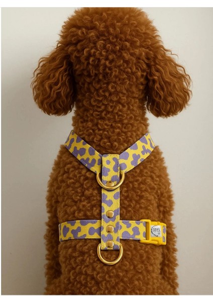 H Tipi Pla Klips Köpek Göğüs Tasması Tasma