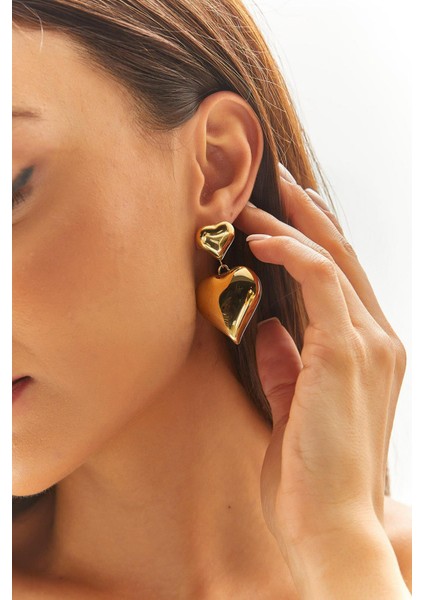 Kadın Çelik Kalp Sallantılı Küpe fırsatları