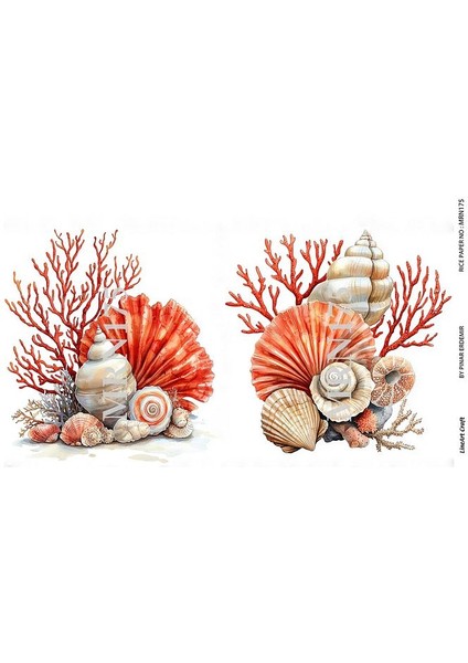 Marine Serisi MRN175 Deniz Kabukları, Mercan Desenli 29*42 cm Pirinç Dekopaj