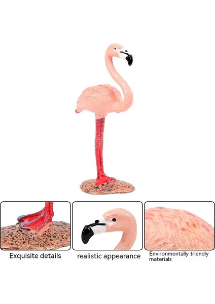 Model Oyuncaklar Flamingo Katı Hala Dekoratif Süsler (Yurt Dışından) modelleri