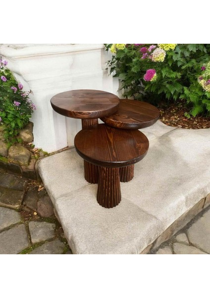 Kestane Renk Masif Ahşap Mantar Sehpa 3’lü Set – Doğal Zigon Fiskos Takımı modelleri