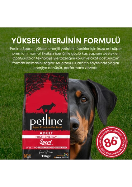 Av Köpekleri ve Büyük Irk Köpeklere Özel Yüksek Enerjili Köpek Maması 24KG (2 x 12KG) - Sport