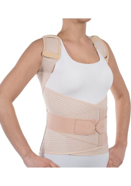 dorselomber korse bej (, , ) modelleri