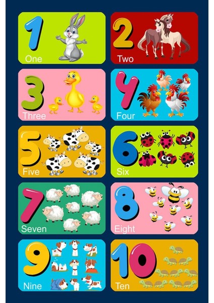 Salamanca Figürlü Mavi Polyester Dikdörtgen Modern Desenli Pamuk Makinada Yıkanabilir Hav Toz Vermez Leke Tutmayan Kaymaz Taban Dijital Makine Baskı Salon Yolluk Mutfak Halı