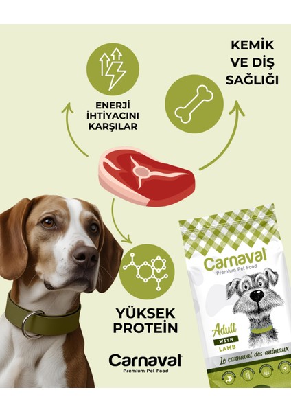 Kuzu Etli Yetişkin Köpek Maması 6kg (2X3kg)