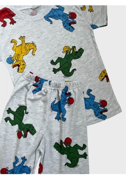 Erkek Çocuk Pamuklu Gri Renk Dinozor Desenli Kısa Kollu Yazlık Şortlu Pijama Takımı fiyatları