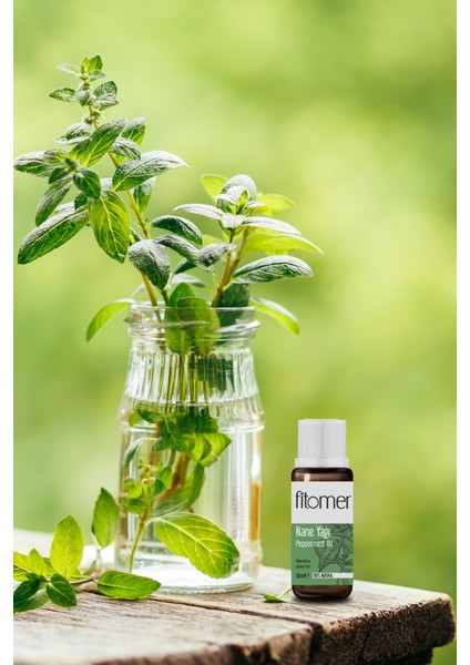 Nane Yağı 10ML fiyatları