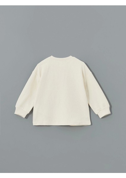 Lcw Baby Ekru Bisiklet Yaka Basic Erkek Bebek Sweatshirt ve Pantolon 2'li fırsatları