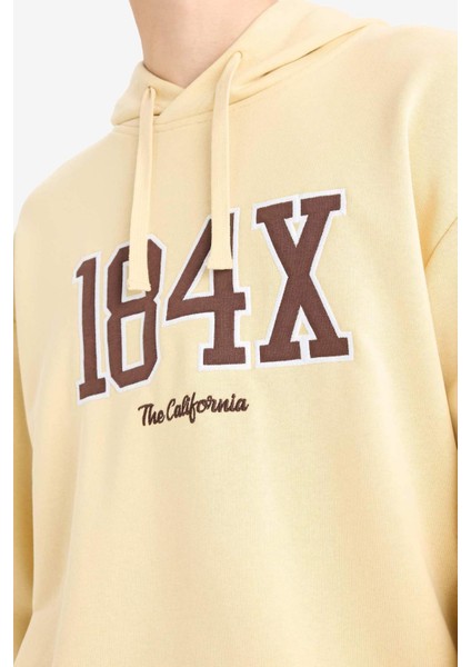 Boxy Fit Kapüşonlu Baskılı Sweatshirt E6434AX25AU