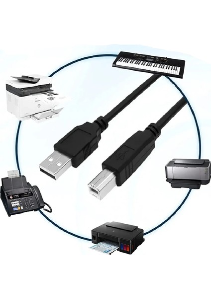 Printer Cable (Filtreli) USB 2.0 Yazıcı Kablosu Hp Epson Canon Xerox Brother (3 Mt)