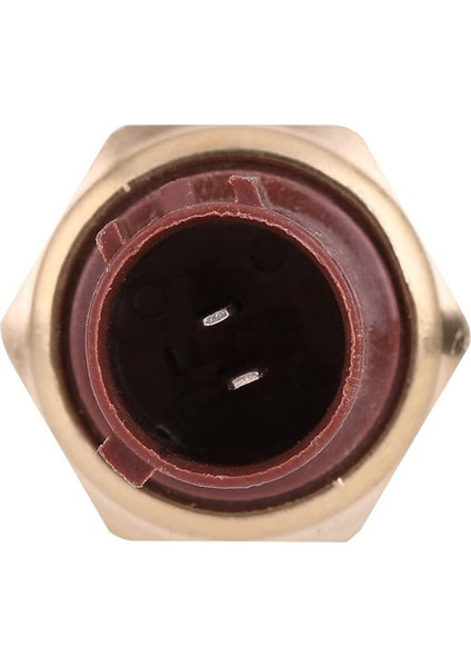 Honda Acura 37760-P00-003 Için 10 Adet Radyatör Soğutma Fanı Su Sıcaklık Sensörü Anahtarı Yedek Araba Aksesuarları (Yurt Dışından) fiyatları