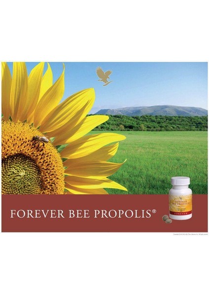 Forever Bee Propolıs fiyatları