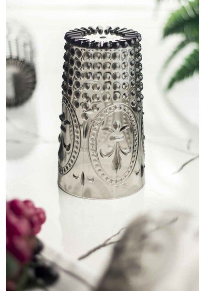 Akrilik Füme Tekli Uzun Bardak & Su Meşrubat Bardağı 750 ml ( Büyük Boy & Cam Değildir ) modelleri