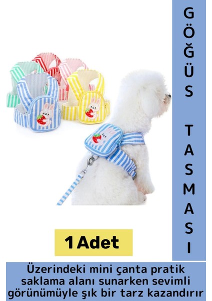Yüksek Kaliteli Şık Sevimli Küçük Irk Kedi Köpek Evcil Hayvan Çantalı Göğüs Gezdirme Tasması Seti