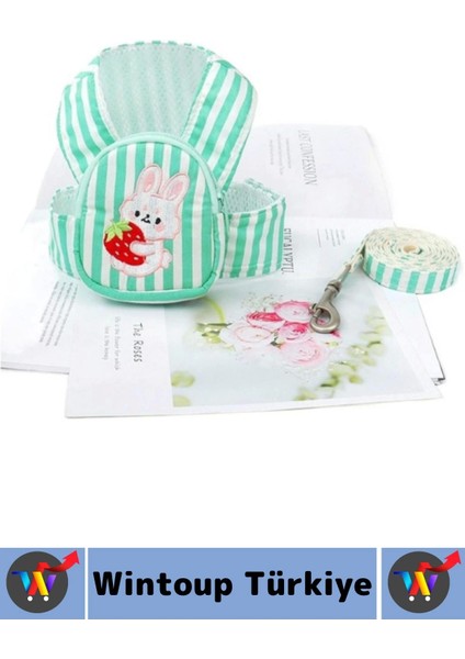 Yüksek Kaliteli Şık Sevimli Küçük Irk Kedi Köpek Evcil Hayvan Çantalı Göğüs Gezdirme Tasması Seti fiyatları