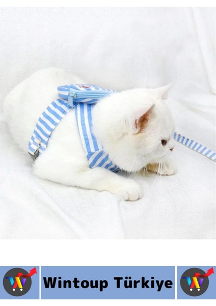 Yüksek Kaliteli Şık Sevimli Küçük Irk Kedi Köpek Evcil Hayvan Çantalı Göğüs Gezdirme Tasması Seti modelleri