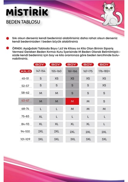 Formia Model Yüksek Bel Toparlayıcı Transparan Detaylı Slip Külot Korse indirimleri