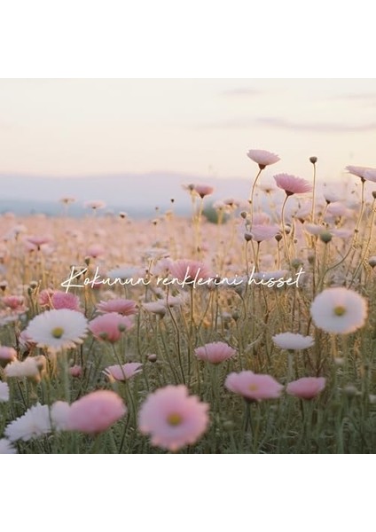 Fresh Çubuklu Oda Kokusu 100 ml (Kır Çiçekleri) modelleri