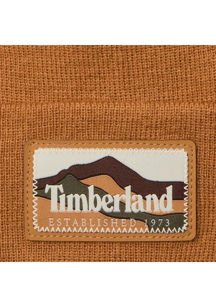 Mountain Patch Beanie Erkek Sarı Şapka TB0A663T2311 modelleri